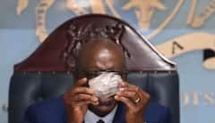 मोठी बातमी! जगातला दुसरा सर्वांत मोठा हिरा सापडला, फोटो पाहून चकित व्हाल