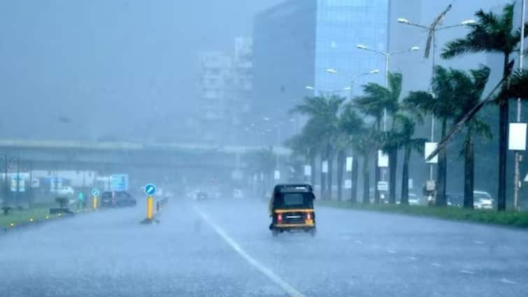 Mumbai Rains Update Heavy Rain Thane local train are late Maharashtra Marathi News Heavy Rain in Mumbai & Thane: मुंबई, ठाण्यात पहाटेपासून मुसळधार पाऊस,  लोकल सेवा विस्कळीत