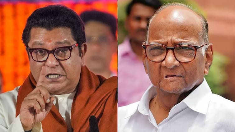 Raj Thackeray serious allegation on Sharad Pawar started Caste politics in Maharashtra Marathi News Raj Thackeray : 'शरद पवारांनीच फोडाफोडीचं राजकारण सुरू केलं, जाती-जातीत विषही कालवलं'; राज ठाकरेंचा गंभीर आरोप