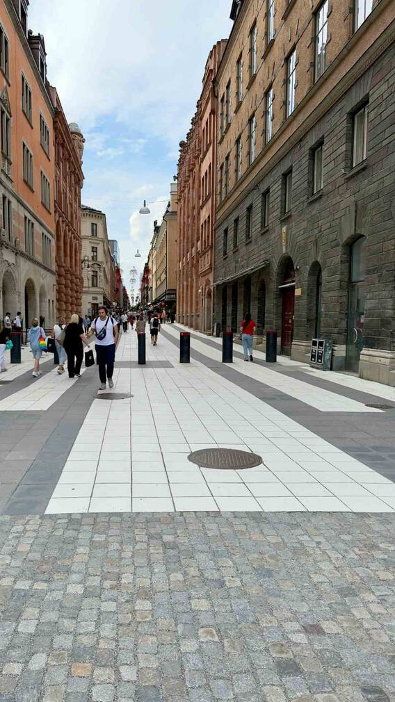 इस देश में सड़कों की साफ-सफाई कौवे करते हैं