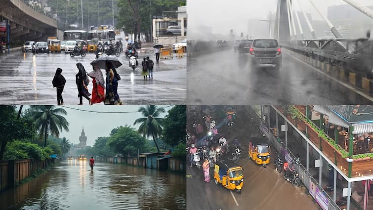 Telangana and Andhra Pradesh weather report heavy rain fall in many districts today Weather News: తెలంగాణలో మూడు, నాలుగు రోజులు వానలే వానలు- నేడు 7 జిల్లాలకు ఎల్లో అలర్ట్‌