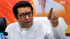 महाराष्ट्र विधानसभा चुनाव को लेकर मनसे ने कसी कमर, राज ठाकरे ने की अहम बैठक, बनाई ये रणनीति
