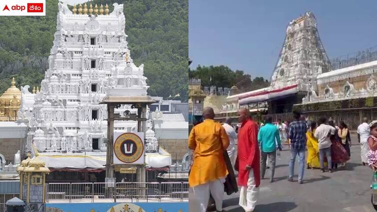 TTD announced auction of srivari hundi items Tirumala News: తిరుమల శ్రీవారి భక్తులకు అలర్ట్ - స్వామి వారి కానుకలు వేలం ఎప్పుడో తెలుసా?