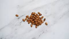 General Knowledge: શું બદામ ખાવાથી તમારું મગજ ખરેખર તેજ બને છે? એક્સપર્ટે જણાવ્યું તેની પાછળનું વિજ્ઞાન