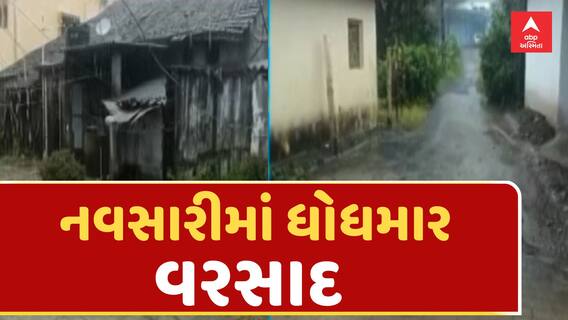 Navsari Rain| લાંબા વિરામ બાદ જિલ્લામાં થઈ મેઘમહેર, ગણદેવીના થયા આવા હાલ | Abp Asmita