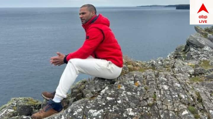 শিখর ধবন আইপিএলে দিল্লি ডেয়ারডেভিলস, ডেকান চার্জার্স, সানরাইজার্স হায়দরাবাদ, মুম্বই ইন্ডিয়ান্স ও পাঞ্জাব কিংসের হয়ে খেলেছেন।