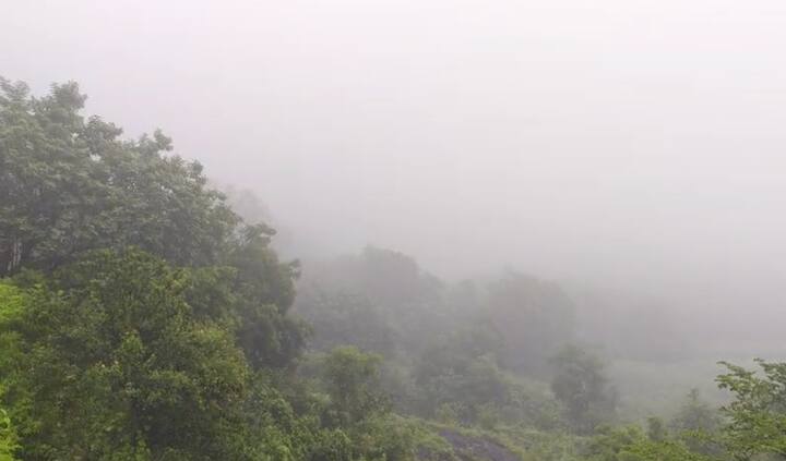 गेल्या आठवड्यात रिमझिम पावसामुळे वेरूळ लेणी आणि परिसरातील धबधबे डोंगर कड्यांवरून ओसंडून वाहत आहेत.