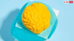 खाने के जरिए लिवर-किडनी से कई गुना ज्यादा ब्रेन में जमा हो रही है माइक्रोप्लास्टिक, रिसर्च में हुआ बड़ा खुलासा