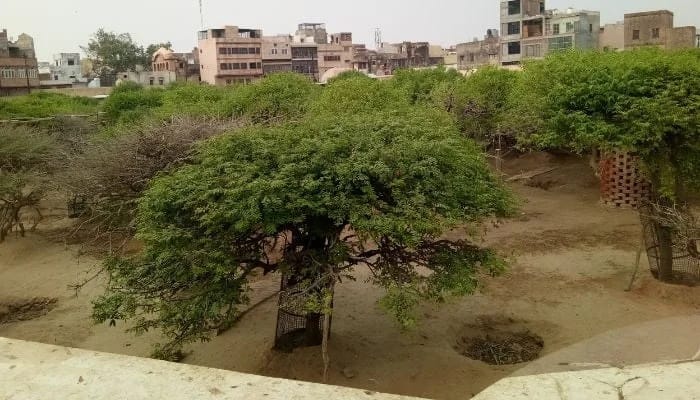এরপর ভোর সাড়ে ৫টায় রংমহলের দরজা খুলে দেওয়া হয়।