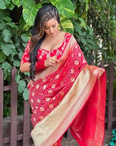 Monalisa Saree Look: ડીપનેક બ્લાઉઝ અને રેડ સાડી, મોનાલિસાનો જોવા મળ્યો હોટ અંદાજ, જુઓ તસવીરો