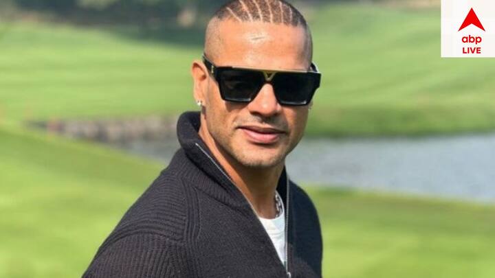 ২০১৩ আইসিসি চ্যাম্পিয়ন্স ট্রফিতে টুর্নামেন্টের সর্বাধিক রান সংগ্রাহক ছিলেন ধবন। ৩৬৩ রান করেছিলেন তিনি।