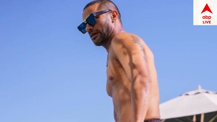 ভারতের হয়ে তিন ফর্ম্য়াট মিলিয়ে মোট ২৬৯টি আন্তর্জাতিক ম্যাচ খেলেছেন শিখর ধবন। হাঁকিয়েছেন ২৪টি শতরান। ২০১০ সালে আন্তর্জাতিক ক্রিকেটের মঞ্চে প্রথমবার ভারতের জার্সি গায়ে মাঠে নামেন শিখর।