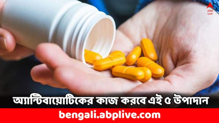 Natural Antibiotics: আপনার রান্নাঘরেই আছে এমন সব উপাদান যা ওষুধ না খেয়েও শরীরে সংক্রমণ প্রতিরোধে অ্যান্টিবায়োটিকের কাজ করবে। কী কী জিনিস থাকলে আর ওষুধের দরকার পড়বে না ?