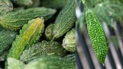 Bitter Gourd :  பாகற்காயுடன் எக்காரணம் கொண்டும் இந்த உணவுகளை சேர்த்து சாப்பிடாதீங்க!