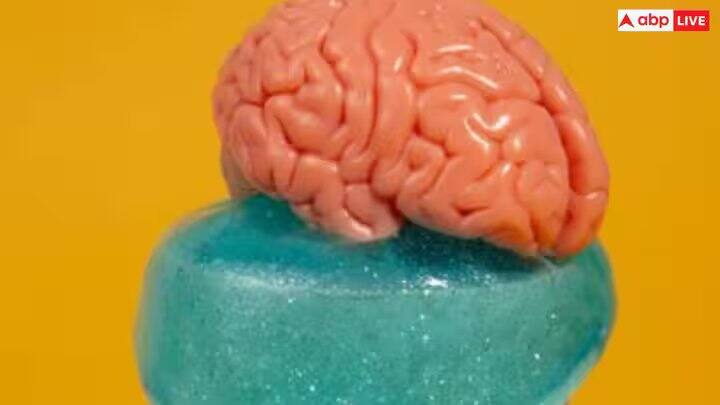 અમેરિકામાં ન્યુ મેક્સિકો યુનિવર્સિટીમાં ફાર્માસ્યુટિકલ સાયન્સના રીજન્ટ્સ પ્રોફેસર અને અભ્યાસના મુખ્ય લેખક મેથ્યુ કેમ્પેને જણાવ્યું હતું કે 2016ની સરખામણીમાં આ પાછલા વર્ષોમાં પ્લાસ્ટિક વધુ ઝડપથી એકઠું થઈ રહ્યું છે. જેના કારણે રોગોનો ખતરો વધી ગયો છે.