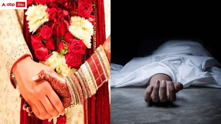 newly married groom died due to heart attack while going to tirumala srivari darshan Tirumala News: పెళ్లై 15 రోజులే - శ్రీవారి దర్శనానికి వెళ్తుండగా కుప్పకూలిన వరుడు, చివరకు విషాదం