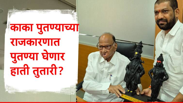 Solapur politics Tanaji Savant nephew Anil Sawant Meets Sharad Pawar For Vidhansabha Election Seat for Magalvedha seat Maharashtra Politics काका पुतण्याच्या राजकारणात नवा डाव? महायुतीतील मंत्र्याचा पुतण्या आमदारकीसाठी शरद पवारांच्या दारात