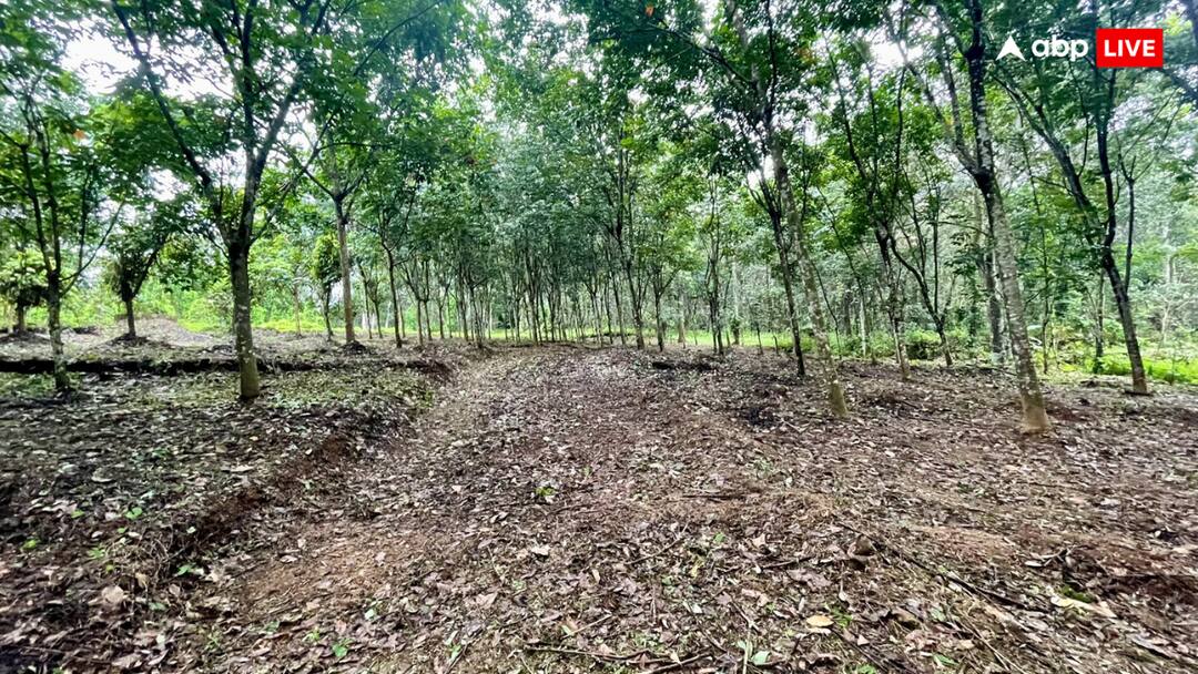 बिहार के अलावा किन राज्यों में हुआ है लैंड सर्वे? जानें आम आदमी के लिए क्या हैं नुकसान Apart from Bihar in which states has land survey been done Know how much time it takes बिहार के अलावा किन राज्यों में हुआ है लैंड सर्वे? जानें आम आदमी के लिए क्या हैं नुकसान