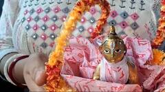 Janmashtami 2024: রাত পোহালেই জন্মাষ্টমী! গোপালকে সাজাতে জেলাশহরে কেনাকাটার ধুম