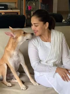 International Dog Day: ਇਨ੍ਹਾਂ ਫਿਲਮੀ ਸਿਤਾਰਿਆਂ ਨੇ ਬੇਘਰ ਕੁੱਤਿਆਂ ਨੂੰ ਆਪਣੇ ਘਰਾਂ 'ਚ ਦਿੱਤੀ ਸ਼ਰਨ, ਦੂਜਾ ਨਾਂਅ ਕਰ ਦਏਗਾ ਹੈਰਾਨ