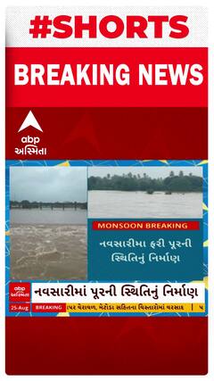 Navsari Flood | નવસારીમાં નદીઓએ ધારણ કર્યું રૌદ્ર સ્વરૂપ, જિલ્લામાં પૂરની સ્થિતિ