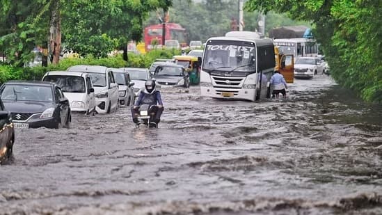 Forecast of heavy to very heavy rain in these 4 districts of Gujarat, Meteorological department has given red alert Gujarat Rain forecast: આ 4 જિલ્લામાં ભારેથી અતિભારે વરસાદની આગાહી, હવામાન વિભાગે આપ્યું રેડ એલર્ટ