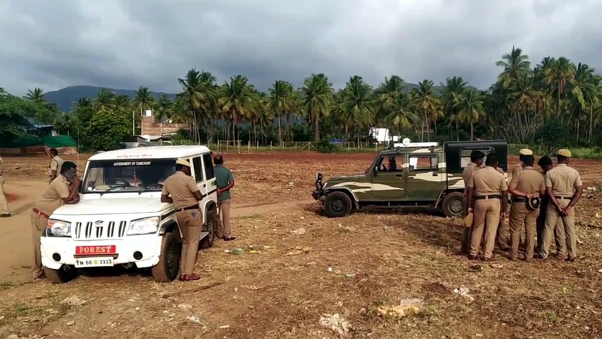 தேனி, கம்பத்தில் ஊருக்குள் புகுந்த சிறுத்தையை இரண்டாவது நாளாக தேடும் பணி தீவிரம்!