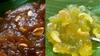 Badam Halwa: வீட்டில் சாதாரண ஸ்வீட்ஸ் செய்து போர் அடித்துவிட்டதா?பாதாம் அல்வா செய்து அசத்துங்க!