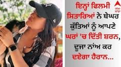 International Dog Day: ਇਨ੍ਹਾਂ ਫਿਲਮੀ ਸਿਤਾਰਿਆਂ ਨੇ ਬੇਘਰ ਕੁੱਤਿਆਂ ਨੂੰ ਆਪਣੇ ਘਰਾਂ 'ਚ ਦਿੱਤੀ ਸ਼ਰਨ, ਦੂਜਾ ਨਾਂਅ ਕਰ ਦਏਗਾ ਹੈਰਾਨ