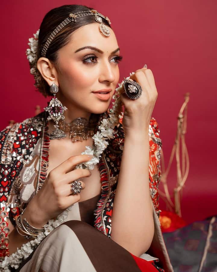 Hansika Motwani treated fans with pictures in an ethnic outfit.