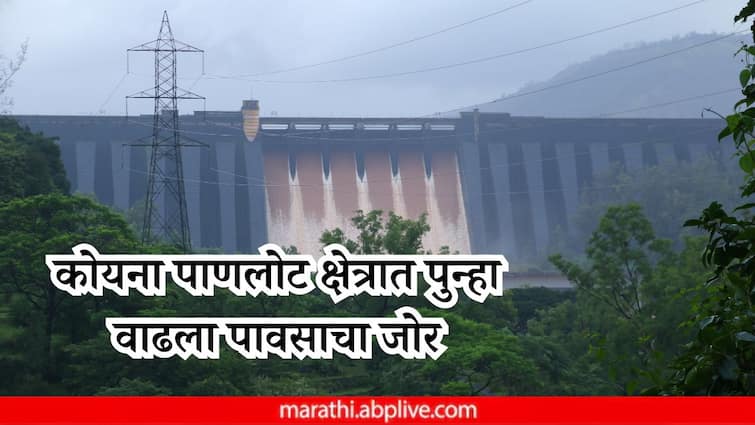 koyna dam area rain increase 95 mm of rain recorded in 24 hours Koyna Dam Rain : कोयना पाणलोट क्षेत्रात पुन्हा वाढला पावसाचा जोर; 24 तासात 95 मिलिमीटर पावसाची नोंद