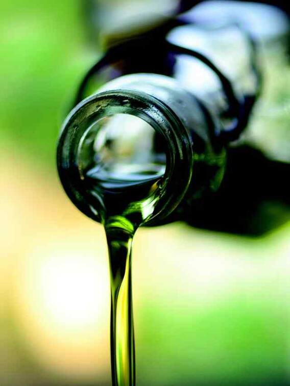 क्या होता है गटर ऑयल, कैसे निकाला जाता है?