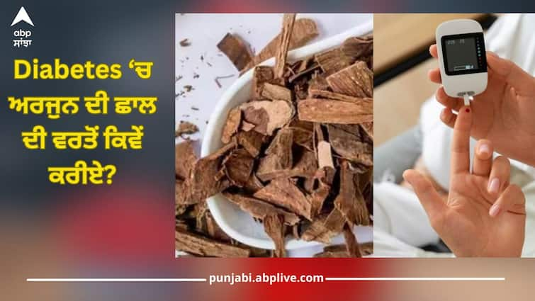 how to use arjun chaal in diabetes one peace in mouth at night can lower blood sugar in morning health news Diabetes: ਸ਼ੂਗਰ ਦੇ ਰੋਗੀ ਰਾਤ ਨੂੰ ਅਰਜੁਨ ਦੀ ਛਾਲ ਮੂੰਹ ਵਿੱਚ ਰੱਖ ਕੇ ਸੌਣਾ, ਸਵੇਰੇ ਤੱਕ ਬਲੱਡ ਸ਼ੂਗਰ ਲੈਵਲ ਹੋ ਜਾਏਗਾ ਕੰਟਰੋਲ