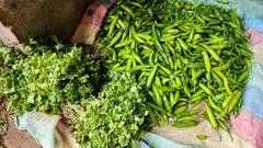 दिल्ली में हरी सब्जियों की कीमत ने बिगाड़ा खाने का स्वाद, एक महीने में डेढ़ गुना तक बढ़ गए दाम