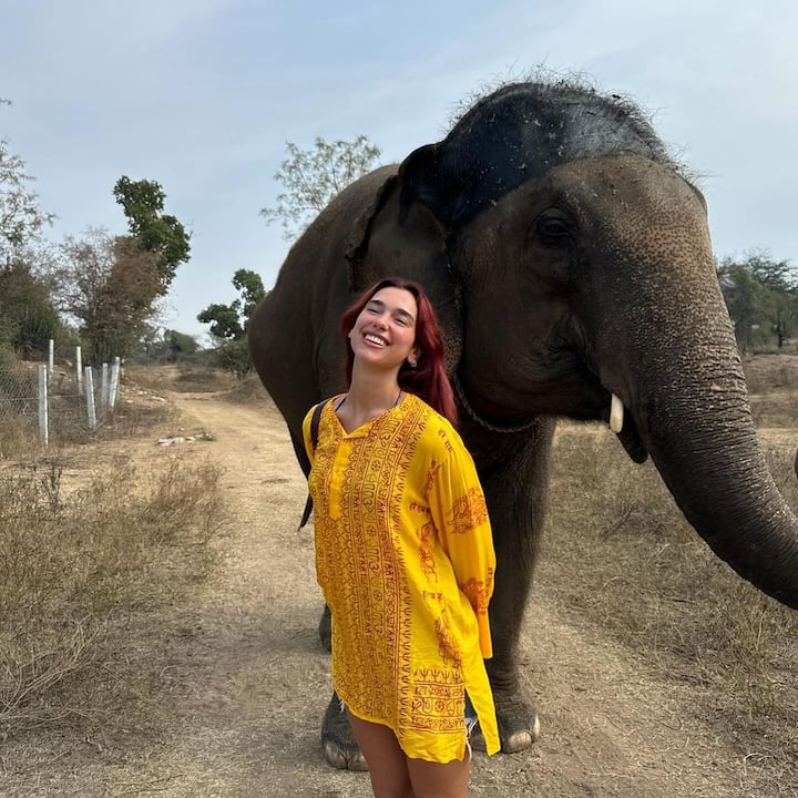 Dua Lipa will perform in India on November 30, 2024 in Mumbai.d