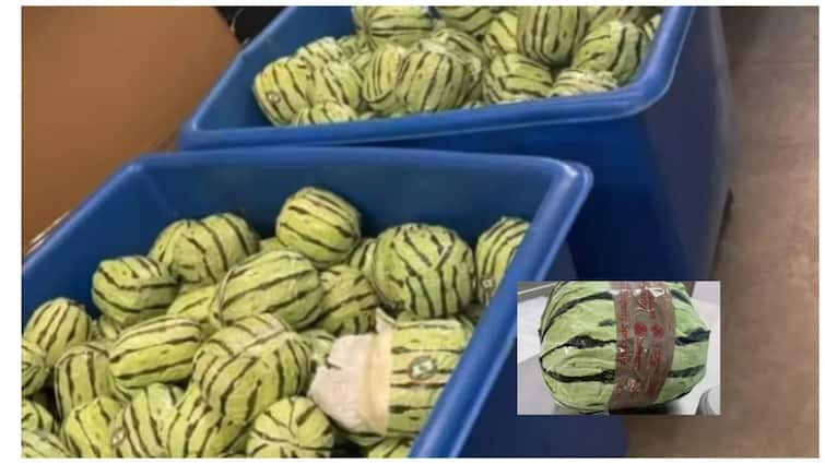 Driver arrest in Drugs Delivery in watermelons in America Crime News: పుచ్చకాయల్లో డ్రగ్స్ సరఫరా, అనుమానం వచ్చి పోలీసులు చెక్ చేయగా!