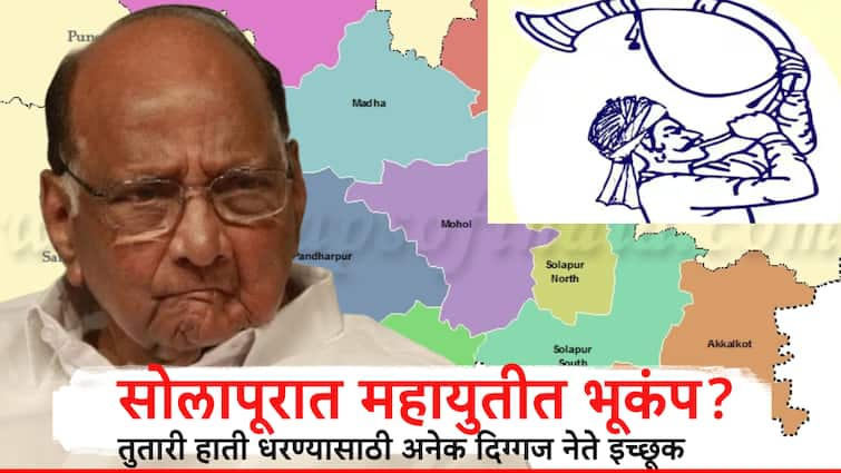 Solapur Vidhansabha elction 2024 leaders of BJP Ajitdada group are preparing for MVA Maharashtra Politics विधानसभा निवडणुकीपूर्वी सोलापुरात राजकीय भूकंप, भाजप-अजितदादा गटातील दिग्गज नेते तुतारी हाती धरण्याच्या तयारीत