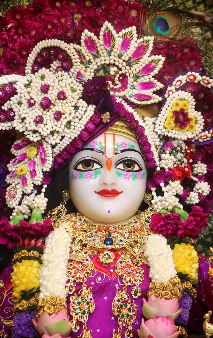 जन्माष्टमी महोत्सव पर श्री श्री कृष्ण बलराम रेशमी सुनहरी पोशाक धारण किये हुए हैं. पोशाक को मथुरा के कारीगरों ने डेढ़ महीने में तैयार किया है.