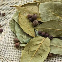 ਚਾਹ ਦੀ ਥਾਂ ਪੀਓ ਇਸ ਚਮਤਕਾਰੀ ਬੂਟੇ ਦਾ ਕਾੜ੍ਹਾ, ਵੱਡੀ ਪਰੇਸ਼ਾਨੀ ਤੋਂ  ਚੁਟਕੀਆਂ 'ਚ ਮਿਲੇਗਾ ਛੁਟਕਾਰਾ