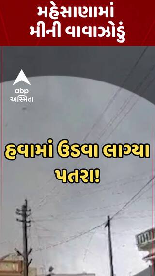 Mehsana Mini Cyclone | મહેસાણામાં મીની વાવાઝોડું , ભારે પવન ફૂંકાતા પતરા હવામાં ઉડ્યા | ABP Asmita
