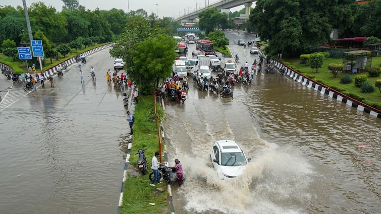 Delhi Records Highest Rainfall In August 2024 In Last Decade As Per IMD Data Delhi Clocks A New Rain Record For August This Year, But It Didn't Flood — Here's Why