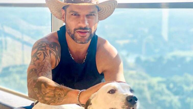 International Dog Day Punjab Kings Post Shikhar Dhawan Here Know Latest Sports News International Dog Day: शिखर धवन, जॉनी बेयरस्टो और सिकंदर रजा... पंजाब किंग्स ने इस अंदाज में मनाया इंटरनेशनल डॉग डे