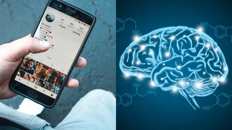 सोशल मीडिया पर ज्यादा एक्टिव रहने से बढ़ता है Dopamine, ऐसे कर सकते हैं डिटॉक्स Use of more Social media increases Dopamine level know how to detox dopamine सोशल मीडिया पर ज्यादा एक्टिव रहने से बढ़ता है Dopamine, ऐसे कर सकते हैं डिटॉक्स
