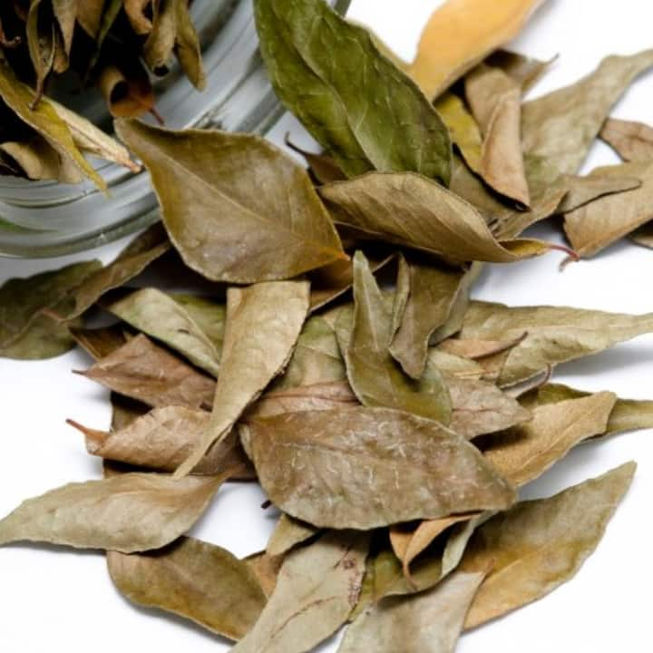 Green leaf tea speeds up your metabolism.