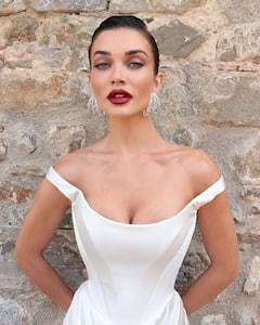 Amy Jackson Marriage Photos : అమీ జాక్సన్​ పెళ్లి ఫోటోలు ఇవే.. కొడుకు సమక్షంలో పెళ్లి చేసుకున్న హీరోయిన్