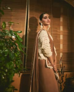 Sonam Kapoor Pics: बॅकलेस ब्लाउज अन् ब्राउन साडी; सोनम कपूरची अदाच लय भारी!