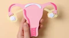 મેનોપોઝ પછી મહિલાઓના શરીરમાં આ પાંચ ફેરફારો થાય છે, જો તે નિયંત્રણમાં ન આવે તો તે ખતરનાક બની શકે છે