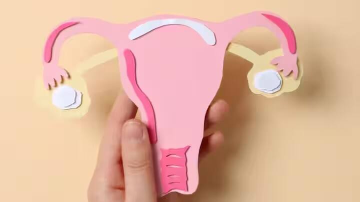 હોર્મોનલ ફેરફારો: મેનોપોઝ દરમિયાન શરીરમાં એસ્ટ્રોજન અને પ્રોજેસ્ટેરોન નામના હોર્મોન્સની ઉણપ હોય છે. તેનાથી મહિલાઓમાં મૂડમાં ફેરફાર, ઊંઘની સમસ્યા અને થાક જેવી સમસ્યાઓ થઈ શકે છે.