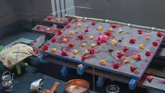 Durga Puja 2024: পদ্ম-জবায় ঢাকল প্রাঙ্গণ, জন্মাষ্টমীতে দেবী দুর্গার কাঠামো পুজো বেলুড় মঠে