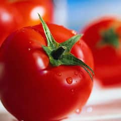 ਹਰ ਸਬਜੀ 'ਚ ਪੈਣ ਵਾਲਾ ਟਮਾਟਰ ਸਰੀਰ ਨੂੰ ਚੁਟਕੀਆਂ 'ਚ ਦਿੰਦਾ ਊਰਜਾ, ਜਾਣੋ ਸੇਵਨ ਦਾ ਸਹੀ ਤਰੀਕਾ